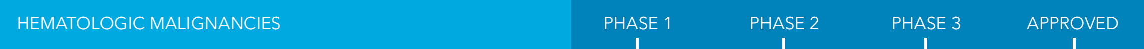 HEMATOLOGIC MALIGNANCIES Blue Bar - new